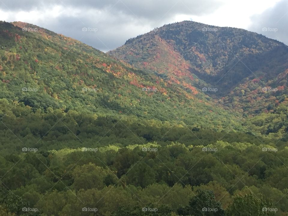 A View FromThe Valley