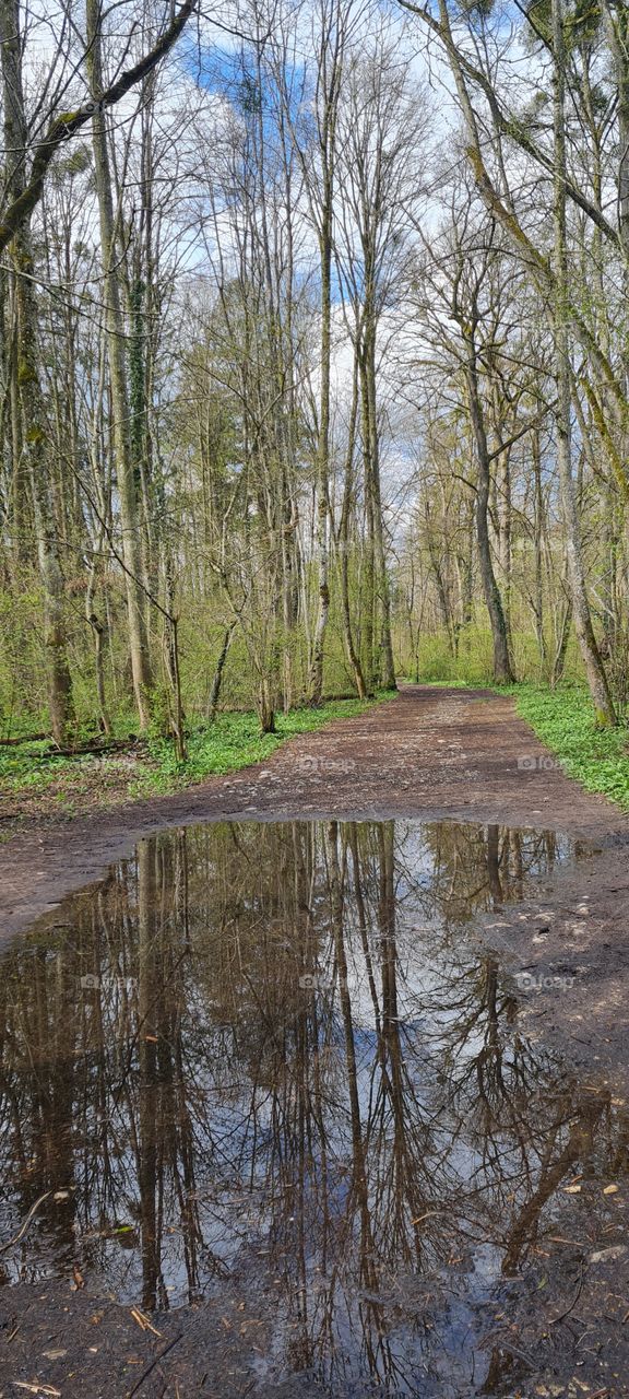 Puddles of water mirroring