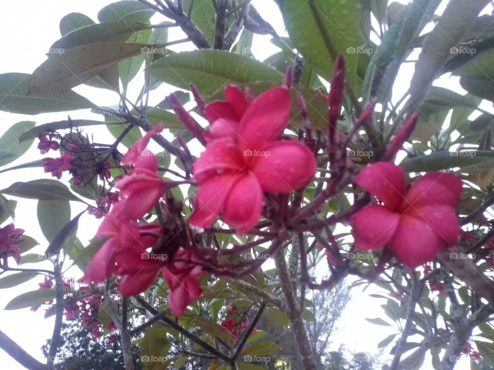 🌺🌺🌺🌺🌺🌺🌺🌺🌺🌺🌺🌺🌺🌺🌺🌺🌺🌺🌺🌺🌺🌺🌺🌺🌺🌺🌺🌺🌺🌺🌺🌺🌺🌺🌺🌺🌺🌺🌺🌺🌺🌺🌺🌺🌺🌺🌺🌺🌺🌺🌺🌺🌺🌺🌺🌺🌺🌺🌺🌺🌺🌺🌺🌺🌺🌺🌺🌺🌺🌺🌺🌺🌺🌺🌺🌺🌺🌺🌺🌺🌺🌺🌺🌺🌺🌺🌺🌺🌺🌺🌺🌺🌺🌺🌺🌺🌺🌺🌺🌺🌺