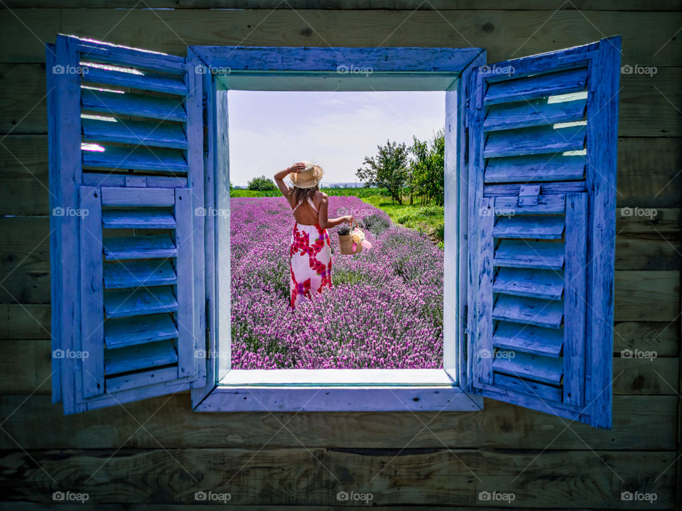 Woman picking flowers,  window view