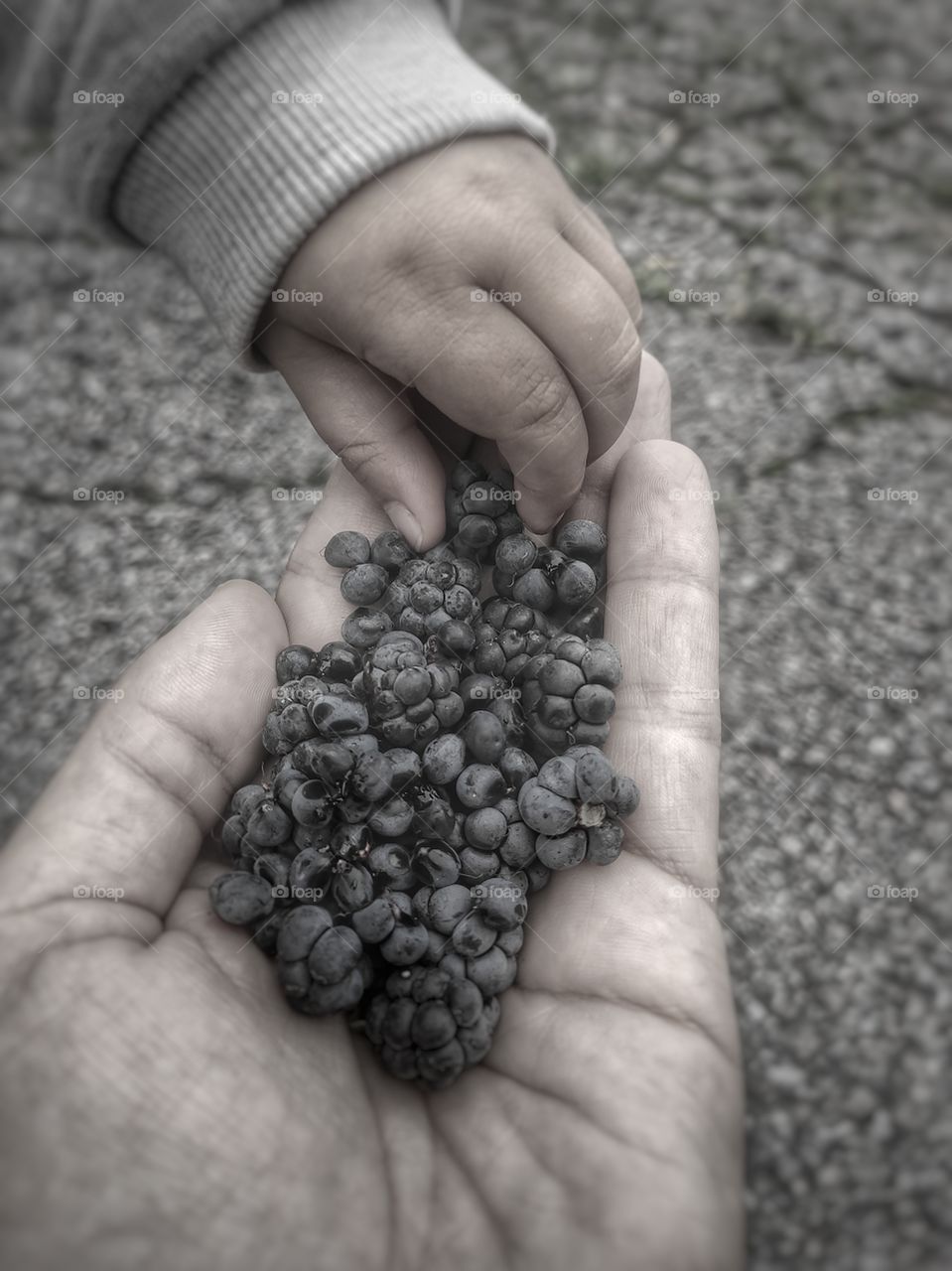 BlackBerry old and young