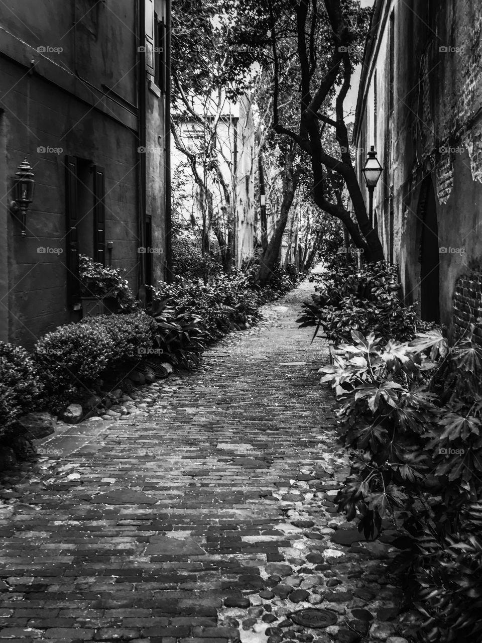 Charleston Alleyway - Black and White