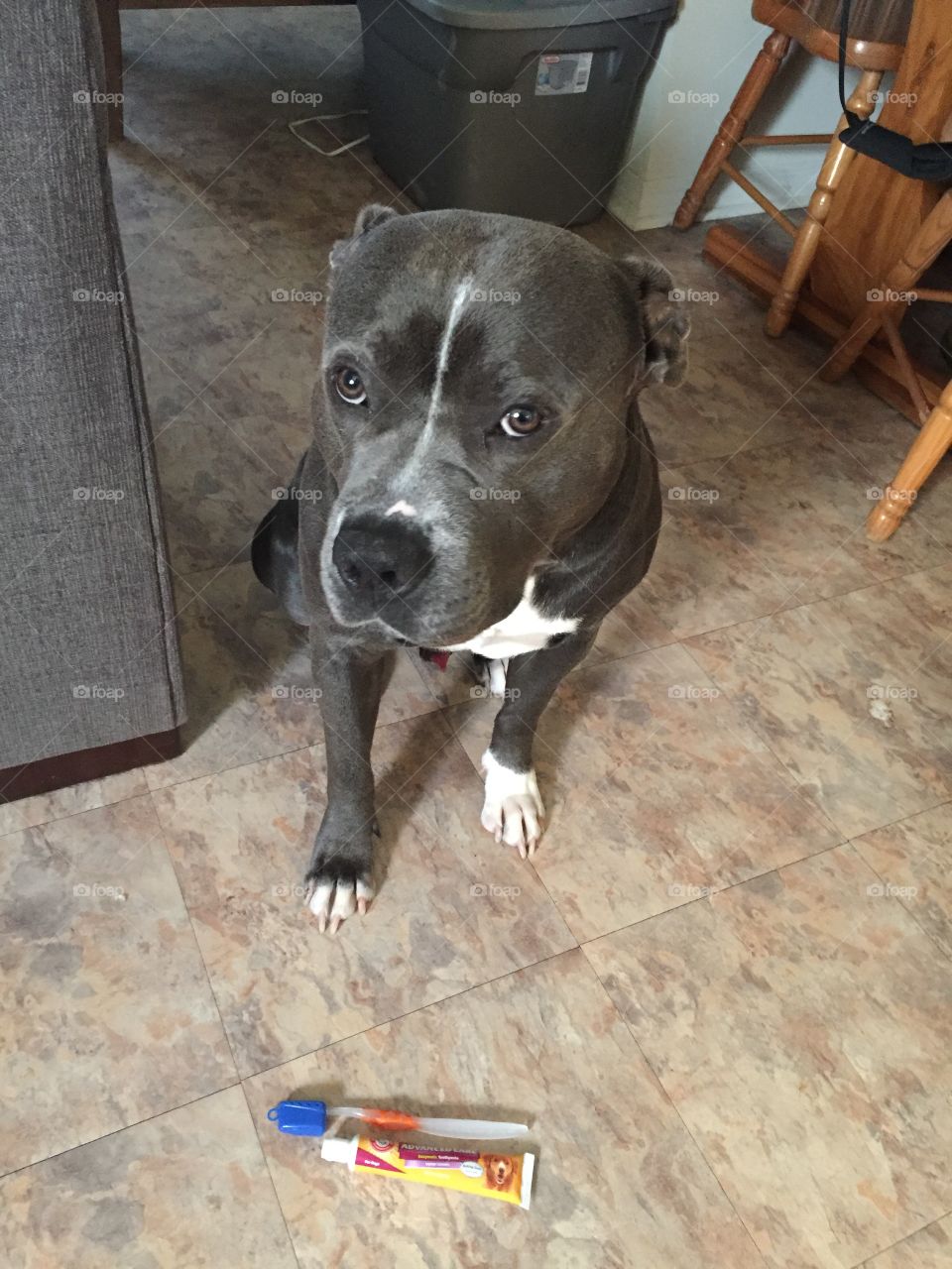 I thought you liked my breath? 