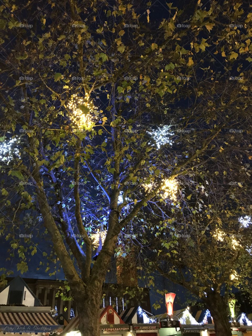 Norwich Christmas lights 2017