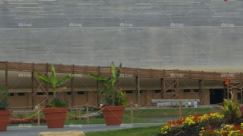 Big plants and beutiful flowers, by The Ark Encounter.