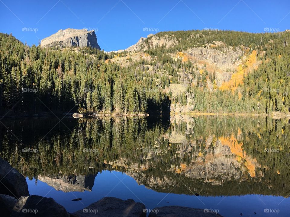 Symmetry in lake