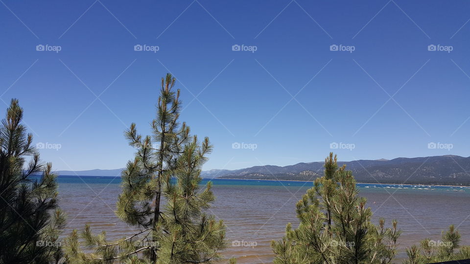 beautiful stunning views of Lake Tahoe.  blue waters and sky. wonderful forest and beach. A vacation hot spot. outdoor activities and fresh air.