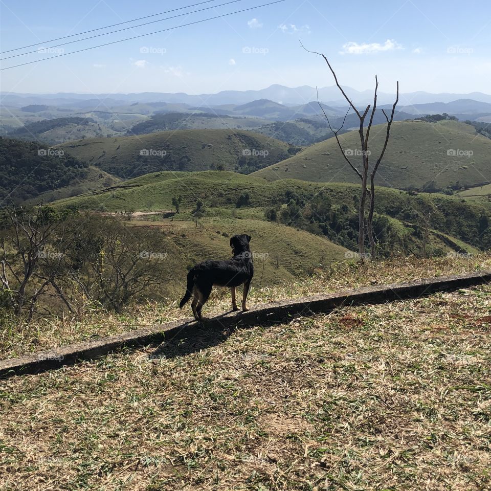 Curtindo a vista das montanhas.