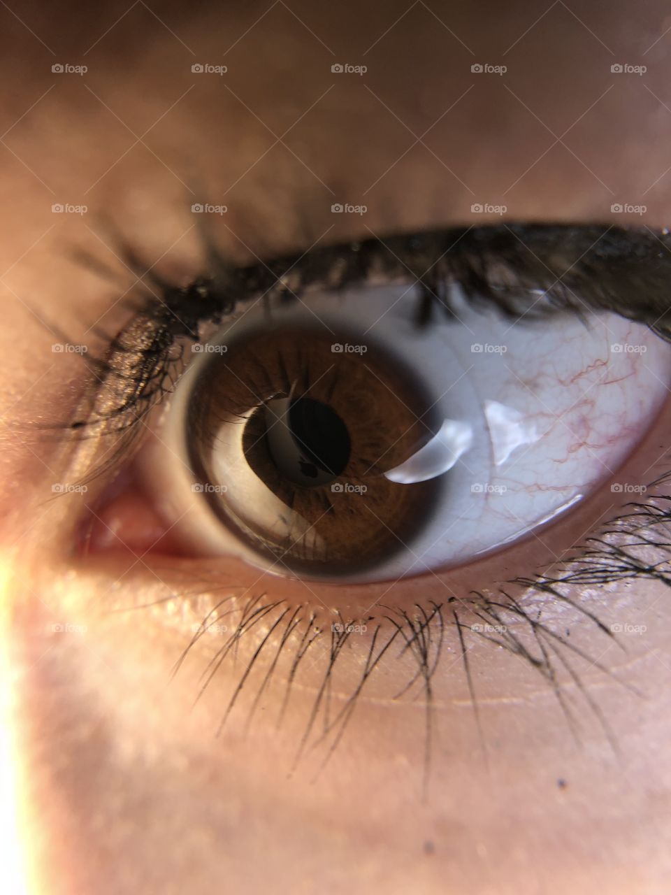 Close up of my brown eye with contacts 