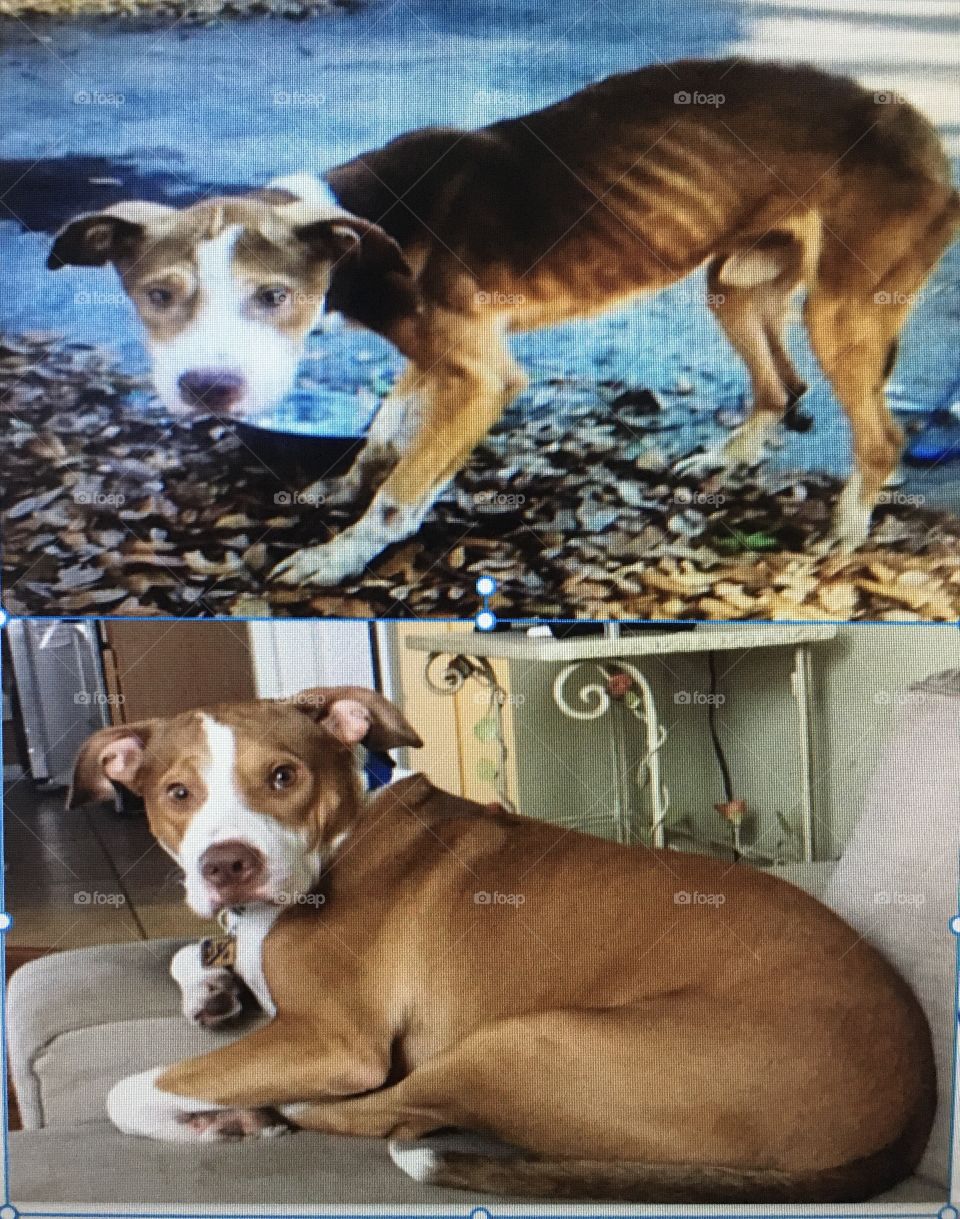 What a difference love can make❤️