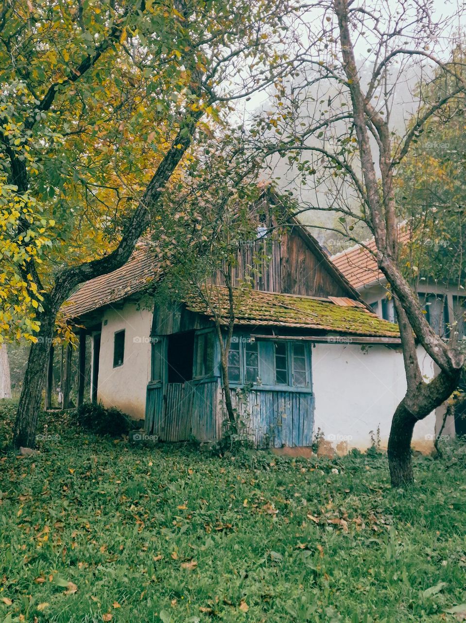 autumn landscape