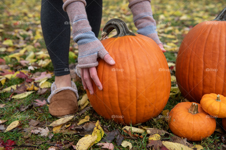Woman wearing fingerless gloves while picking up a large pumpkin outdoors