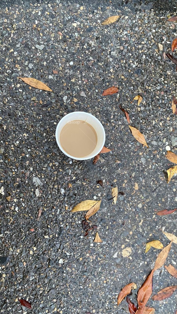Autumn flavored tea cup