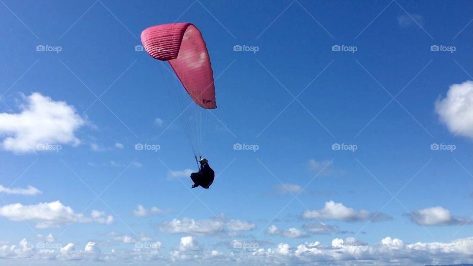 Paragliding with pink chute 