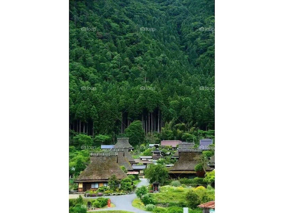 Japanese village