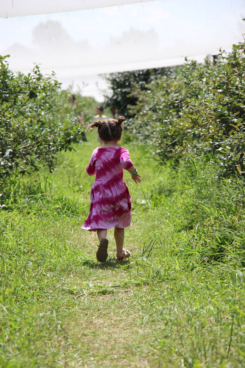 Child, Grass, Nature, Park, Girl