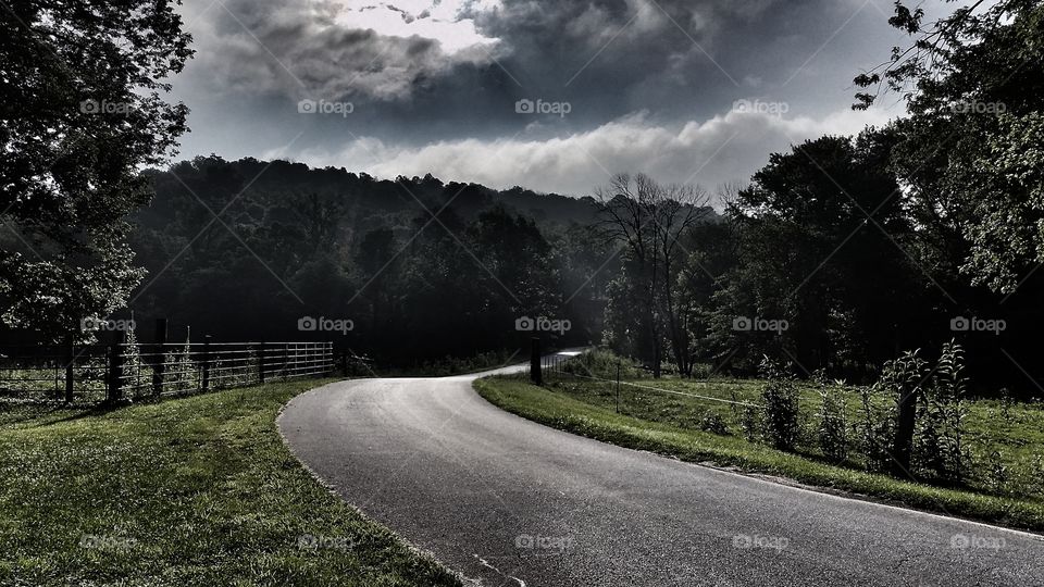 Dark moonlit country road.