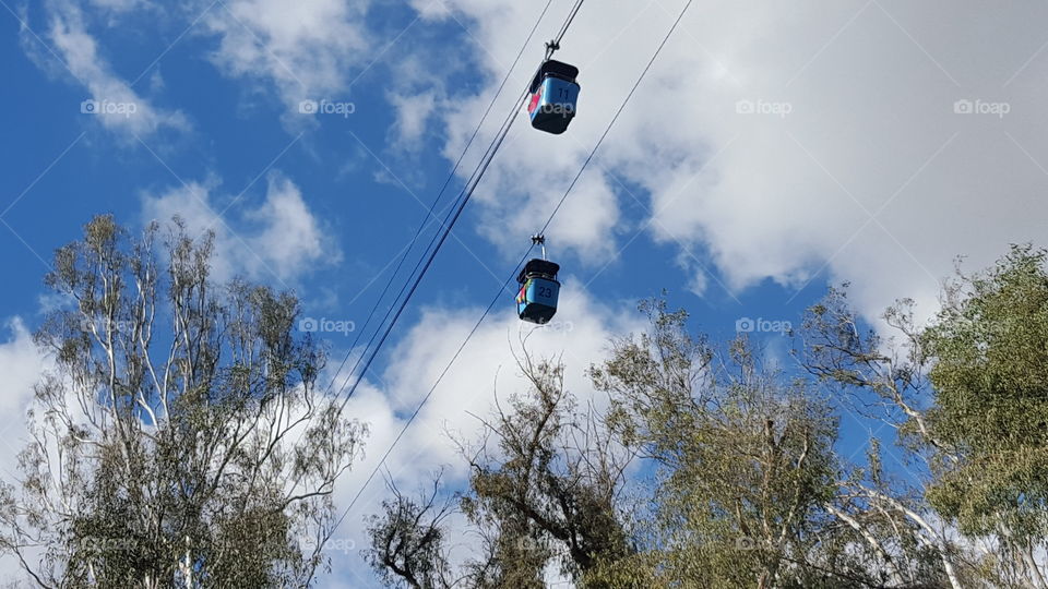 Cable Cars in Sky
