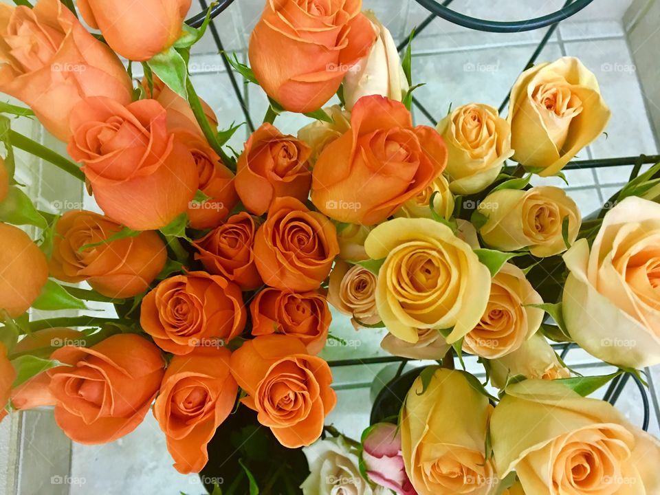 Bouquet, Love, Rose, Romance, Gift