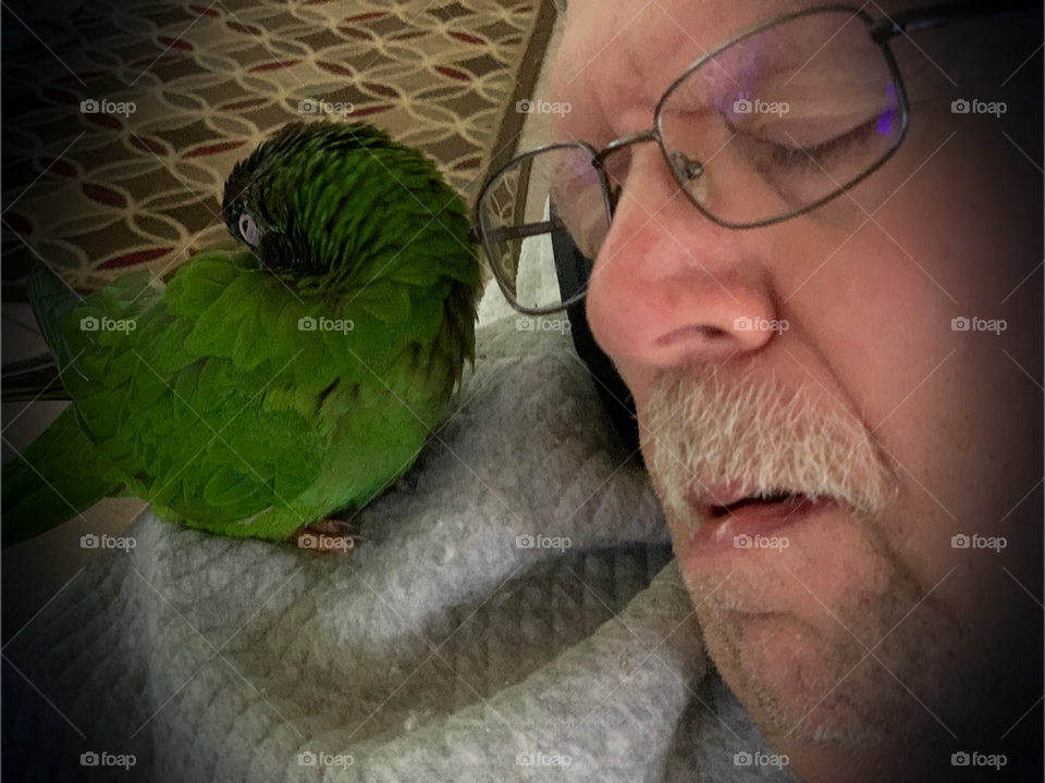 Mustached man with his adoring parrot. Both drifted off of to sleep together.