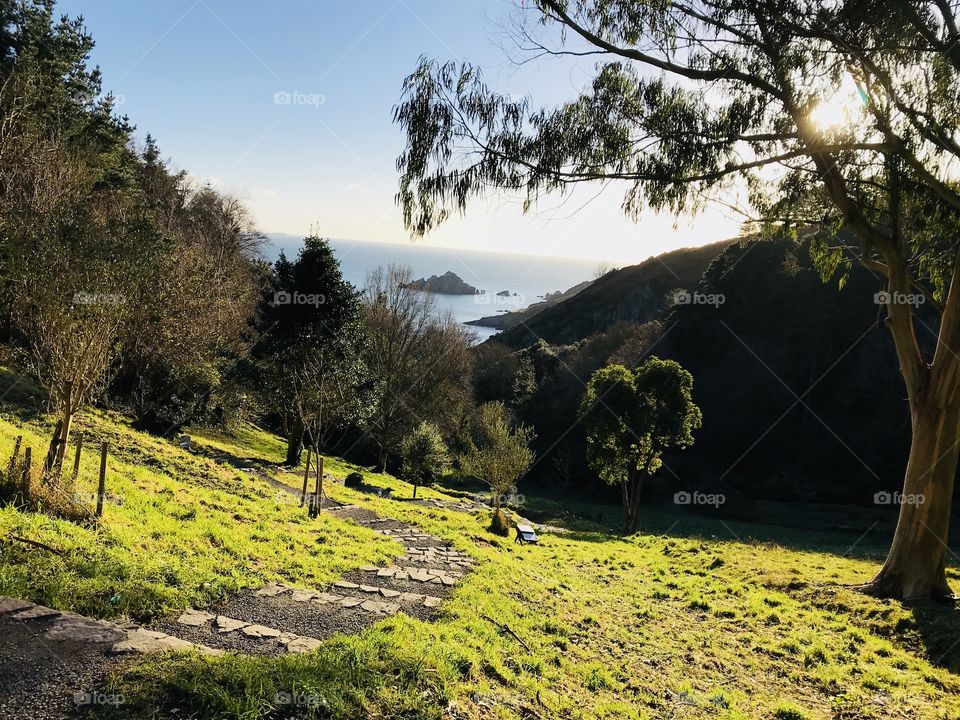 Devon winter sunshine on a cold but glorious afternoon.