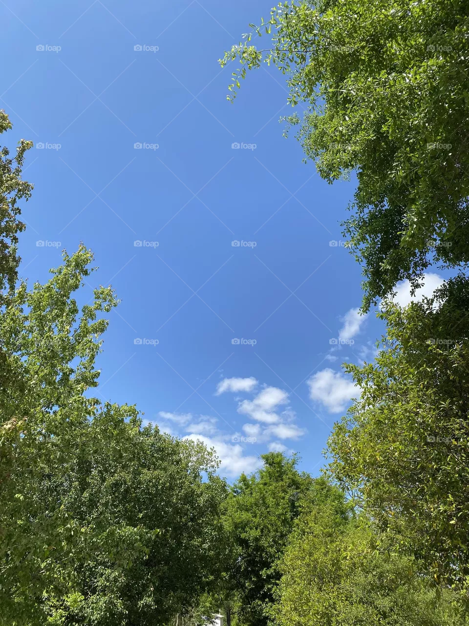 That country sky 