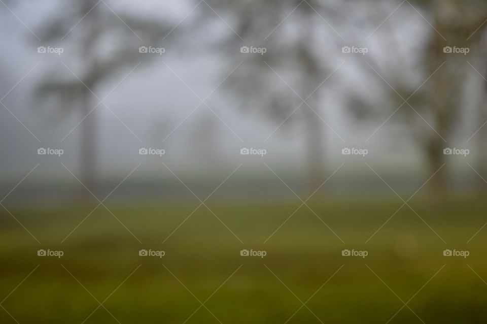Blurred foggy day