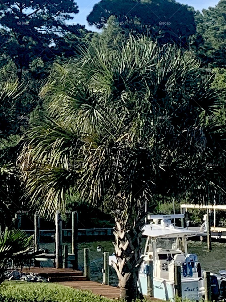 Boat dock