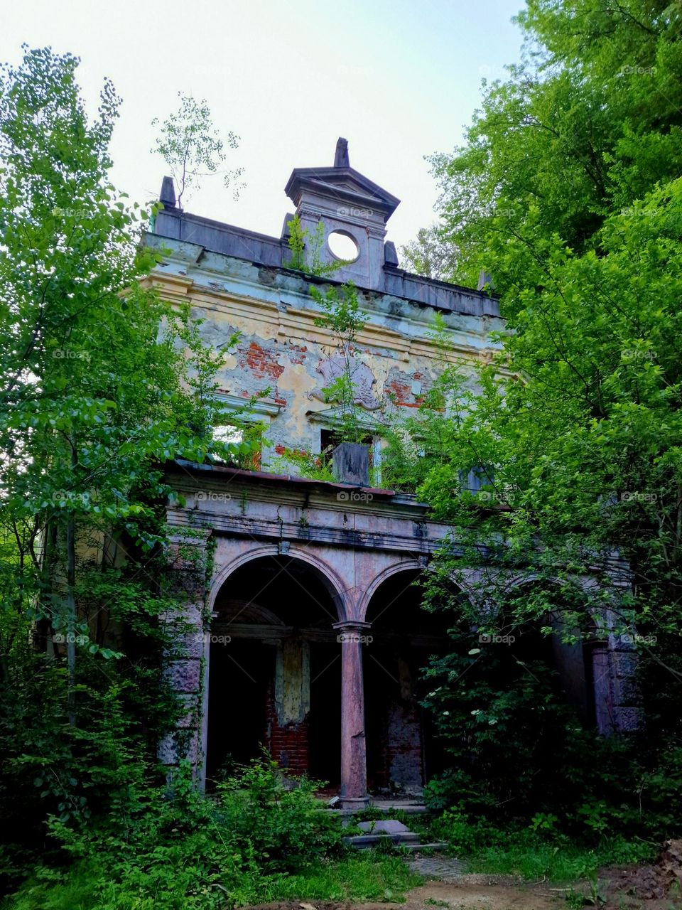 the water lily villa