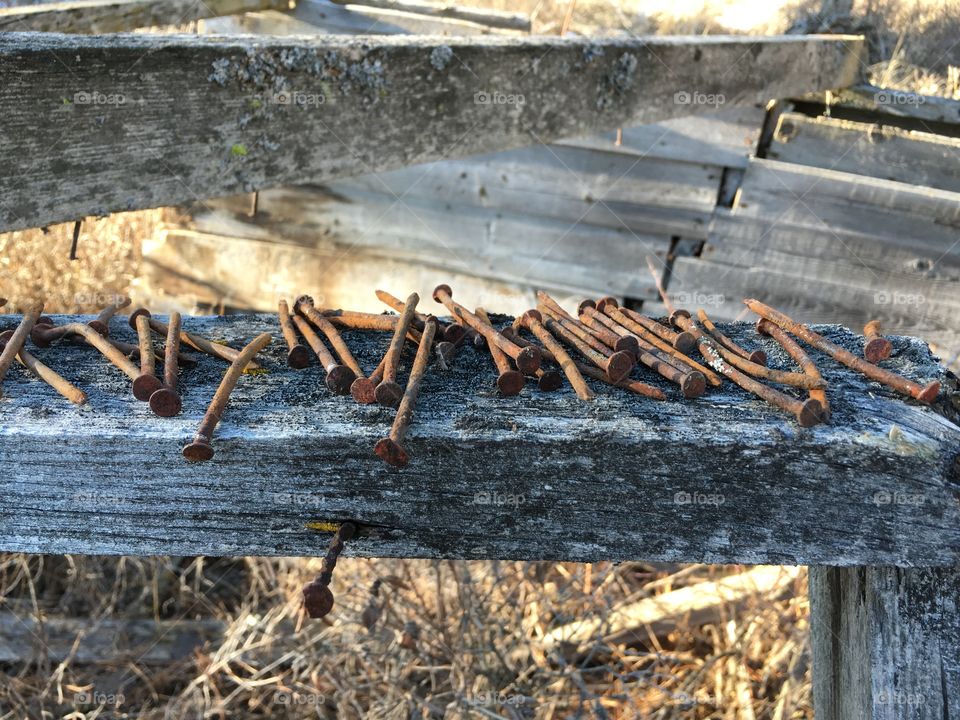 Old rusted nails.