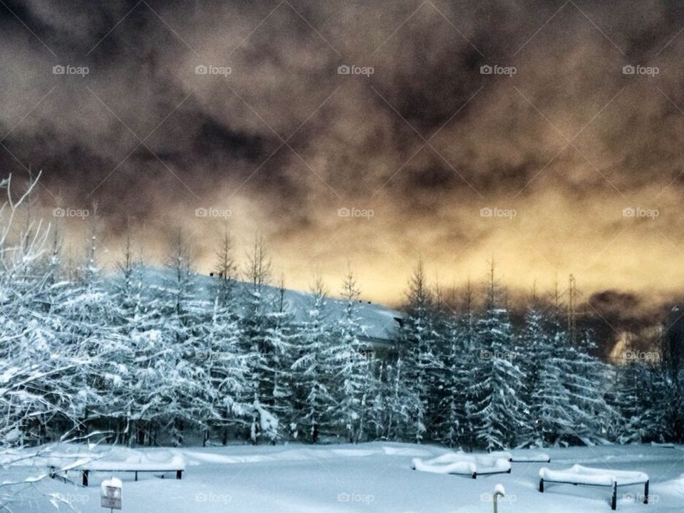 Зимний вечер в лесу