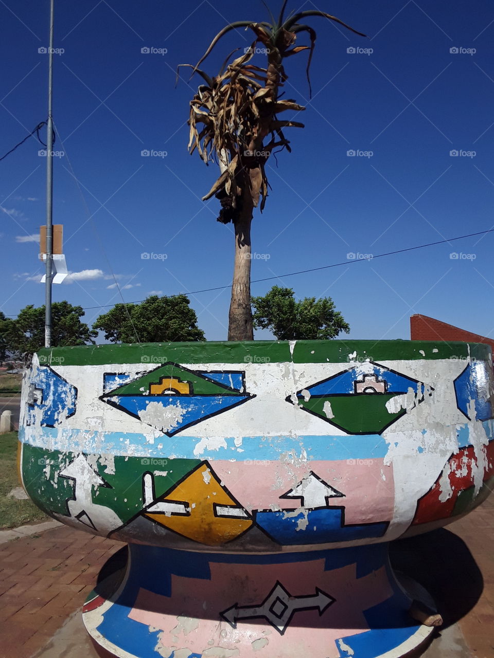 A plant growing up in the bowl pod.