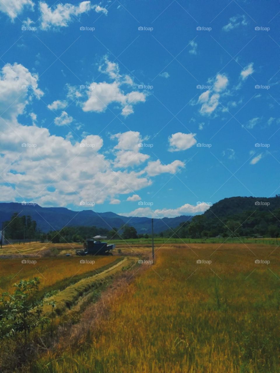 O dia intenso mostrando suas cores ainda mais intensas.