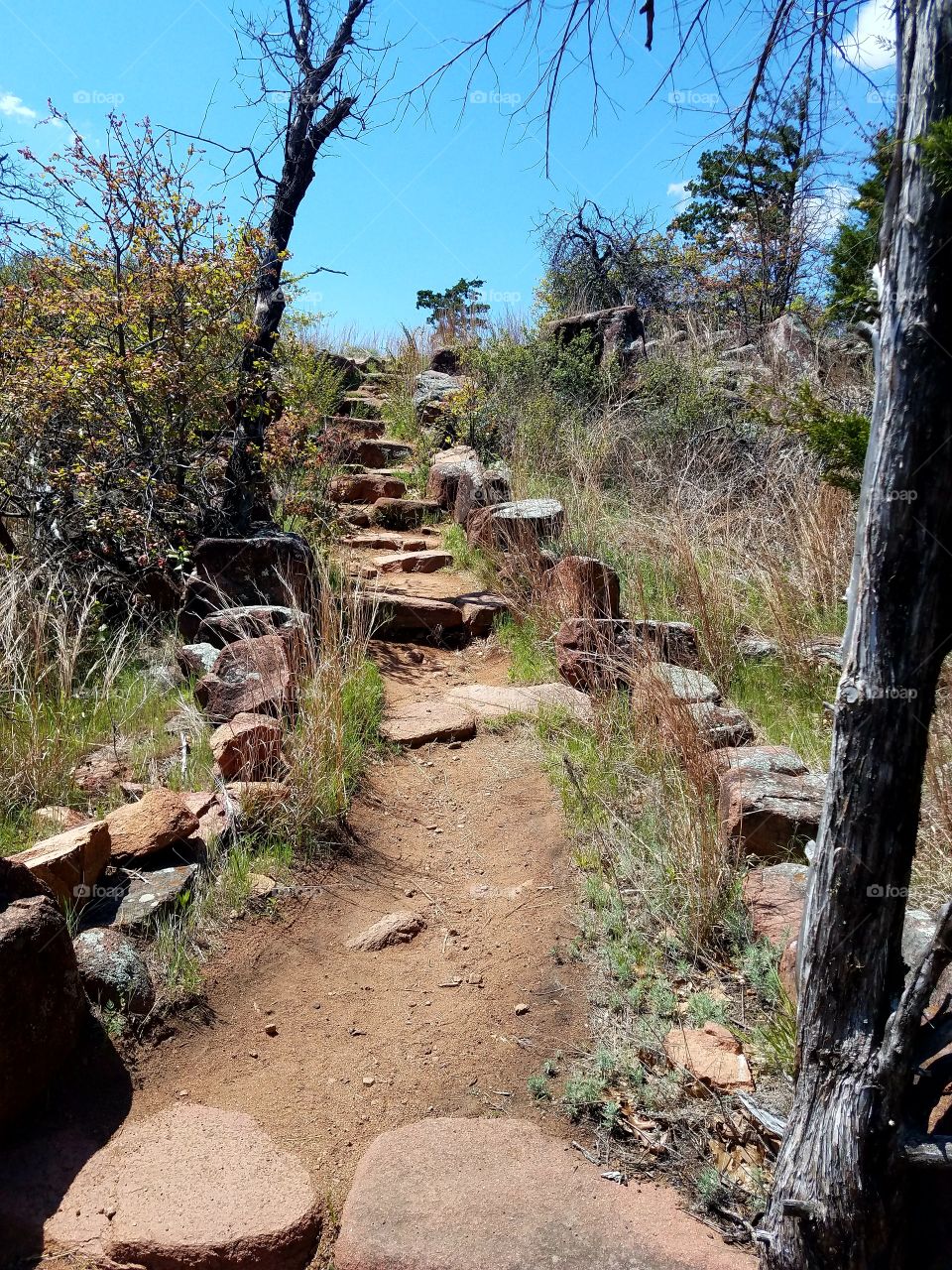 Path to the desert sky