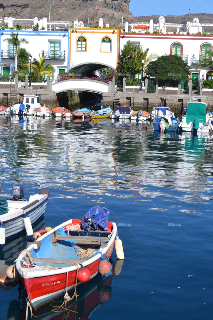 Harbour Life