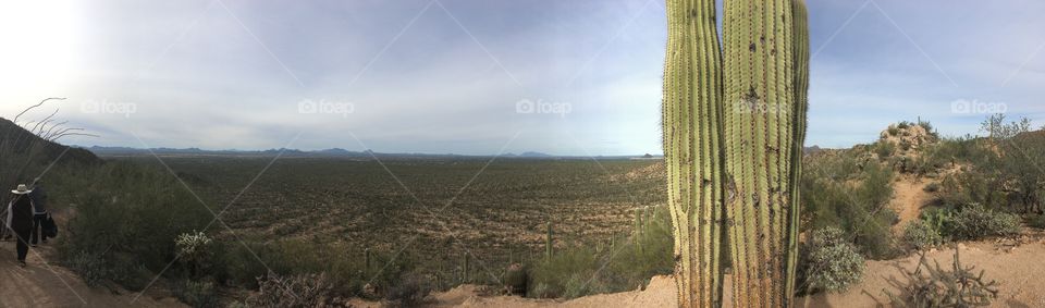 Saguaro National Park Panoramic Valley View Overlook 