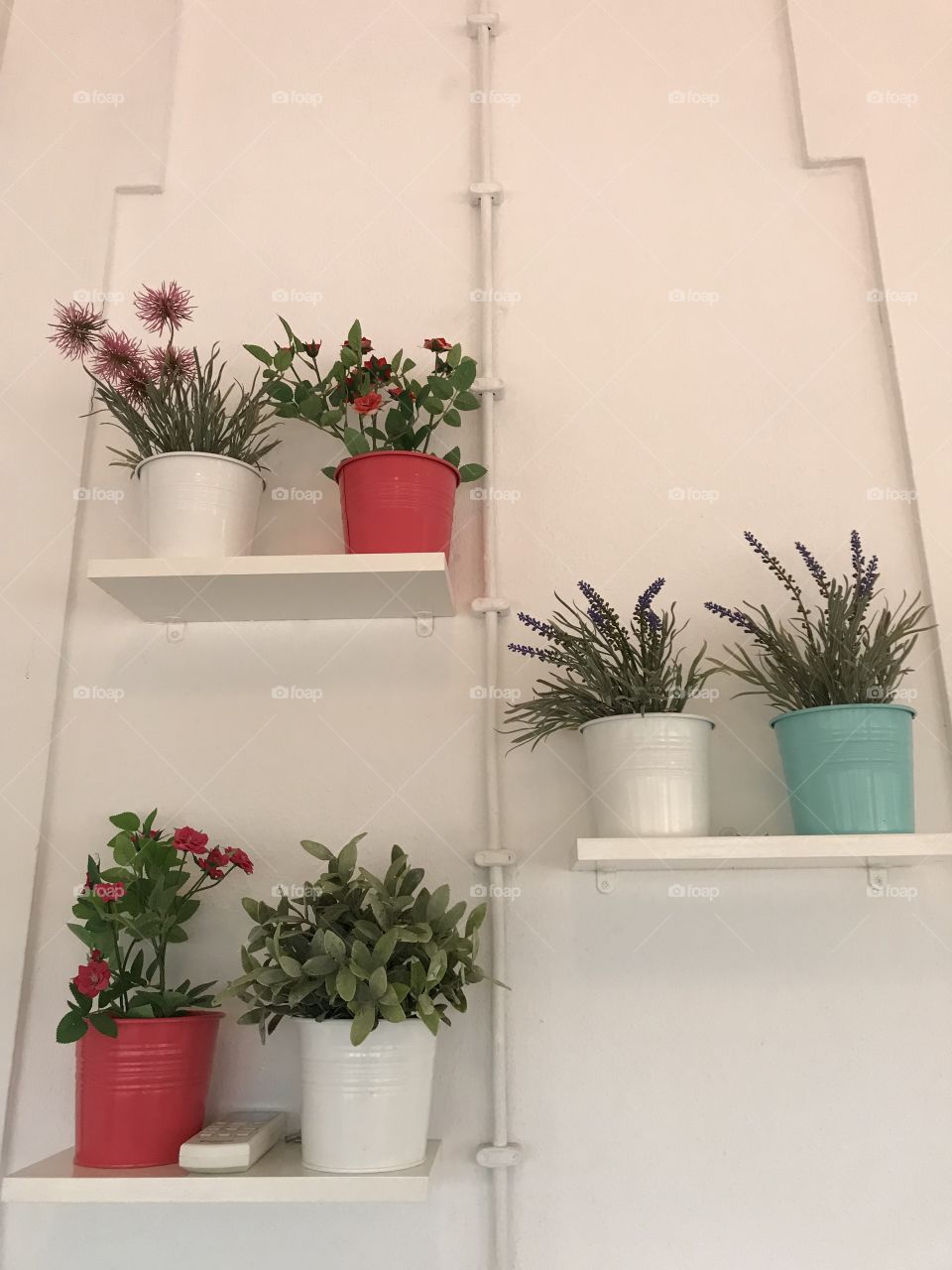 Plants and Decoration