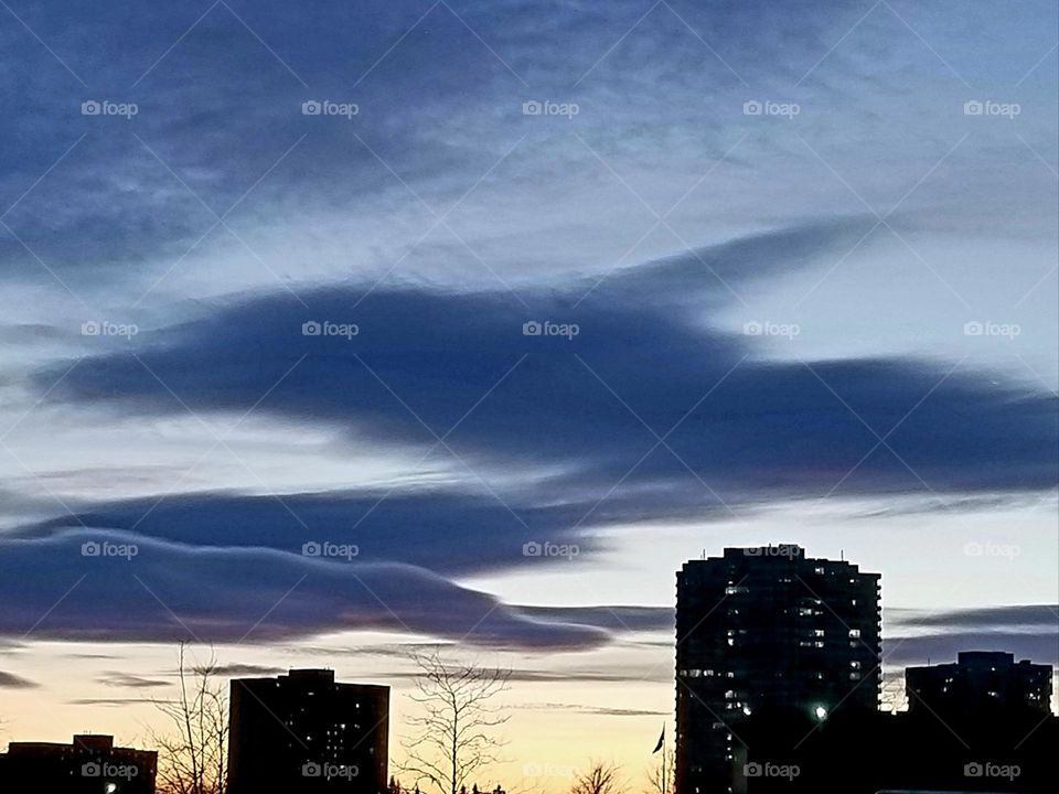 Dolphin shaped clouds on the evening sky