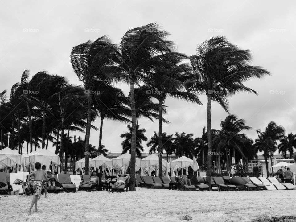 Warm tropical breezes 