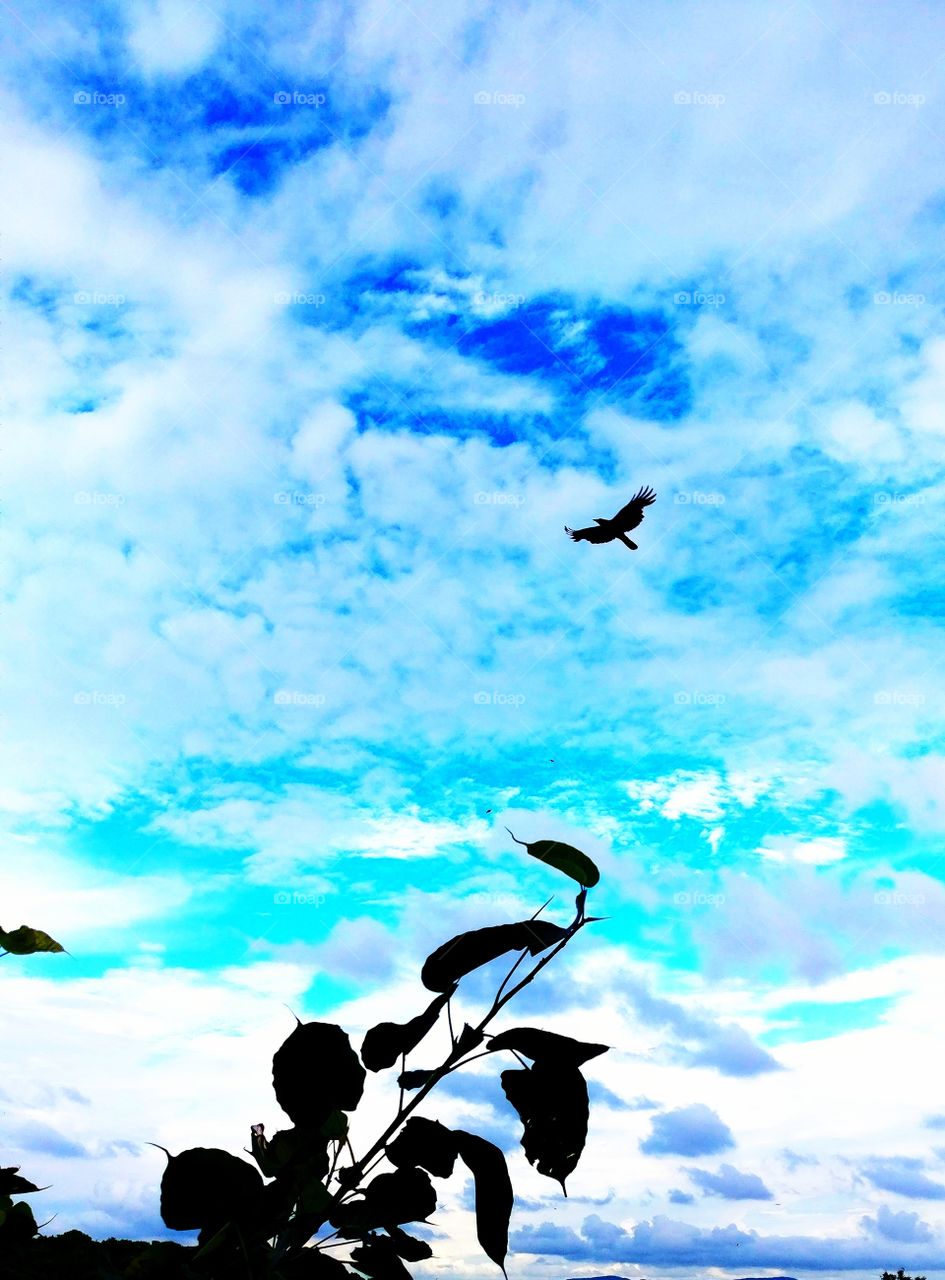 some where in Earth😙