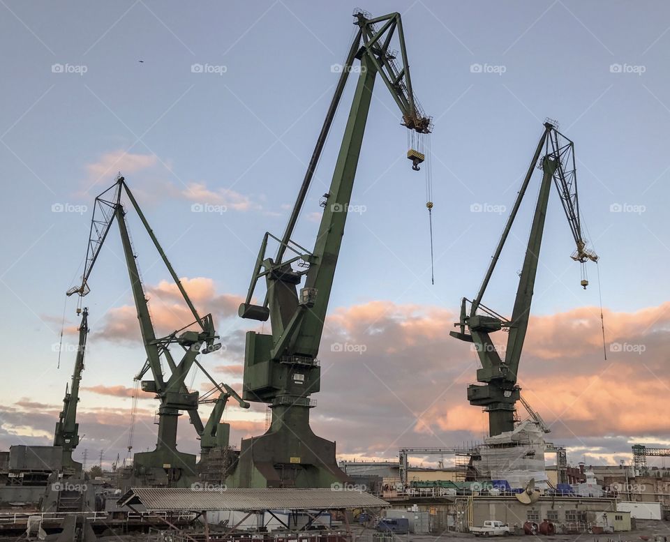 Cranes