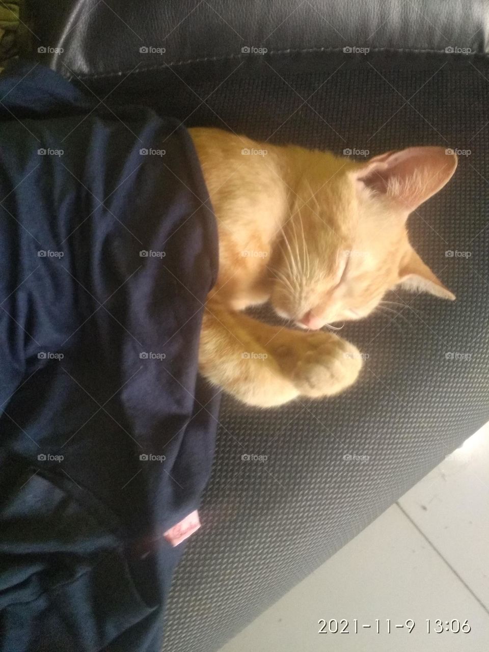 orange cat sleeping after playing