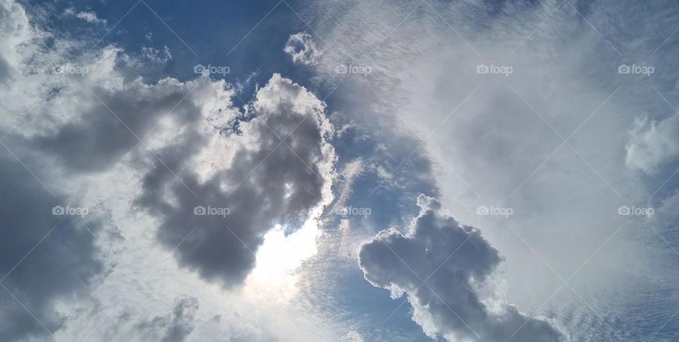 Is there a Squirrel and a dog in this cloud , or is it just me?