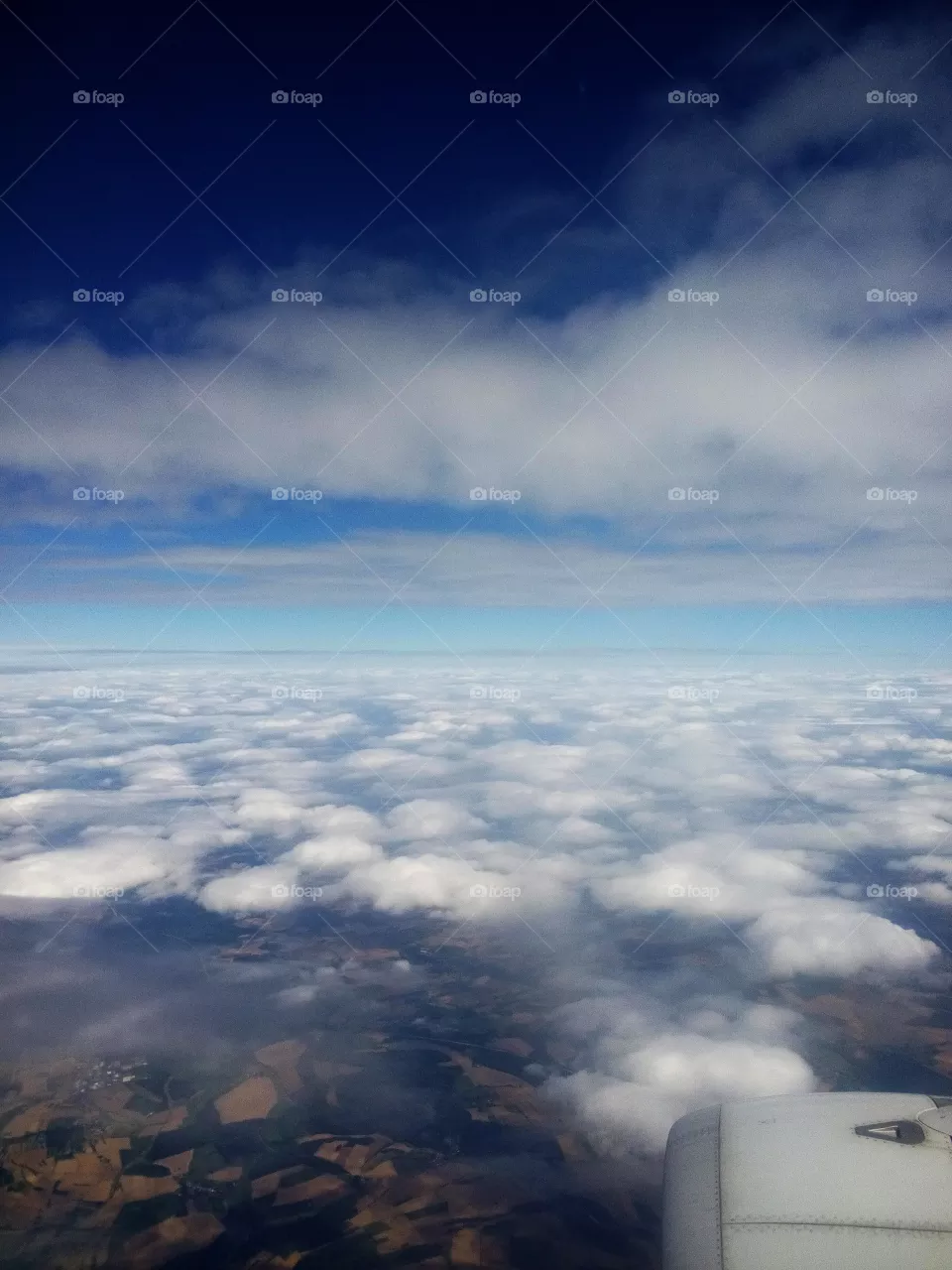 Fly