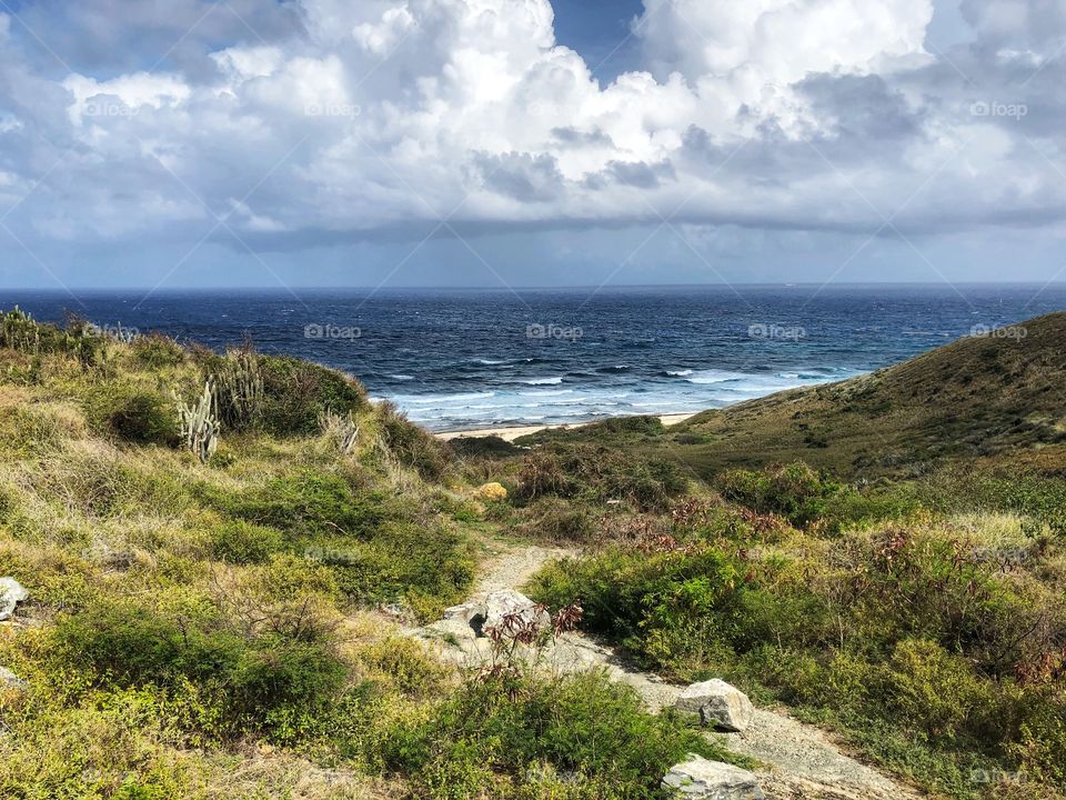 View of beach in St. Croix
