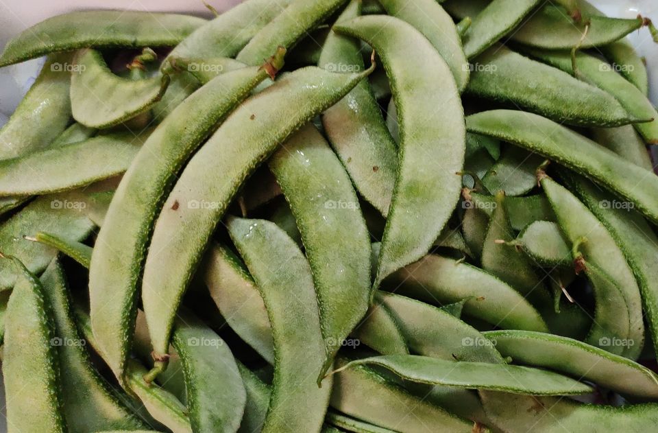bunch of fresh green broad beans