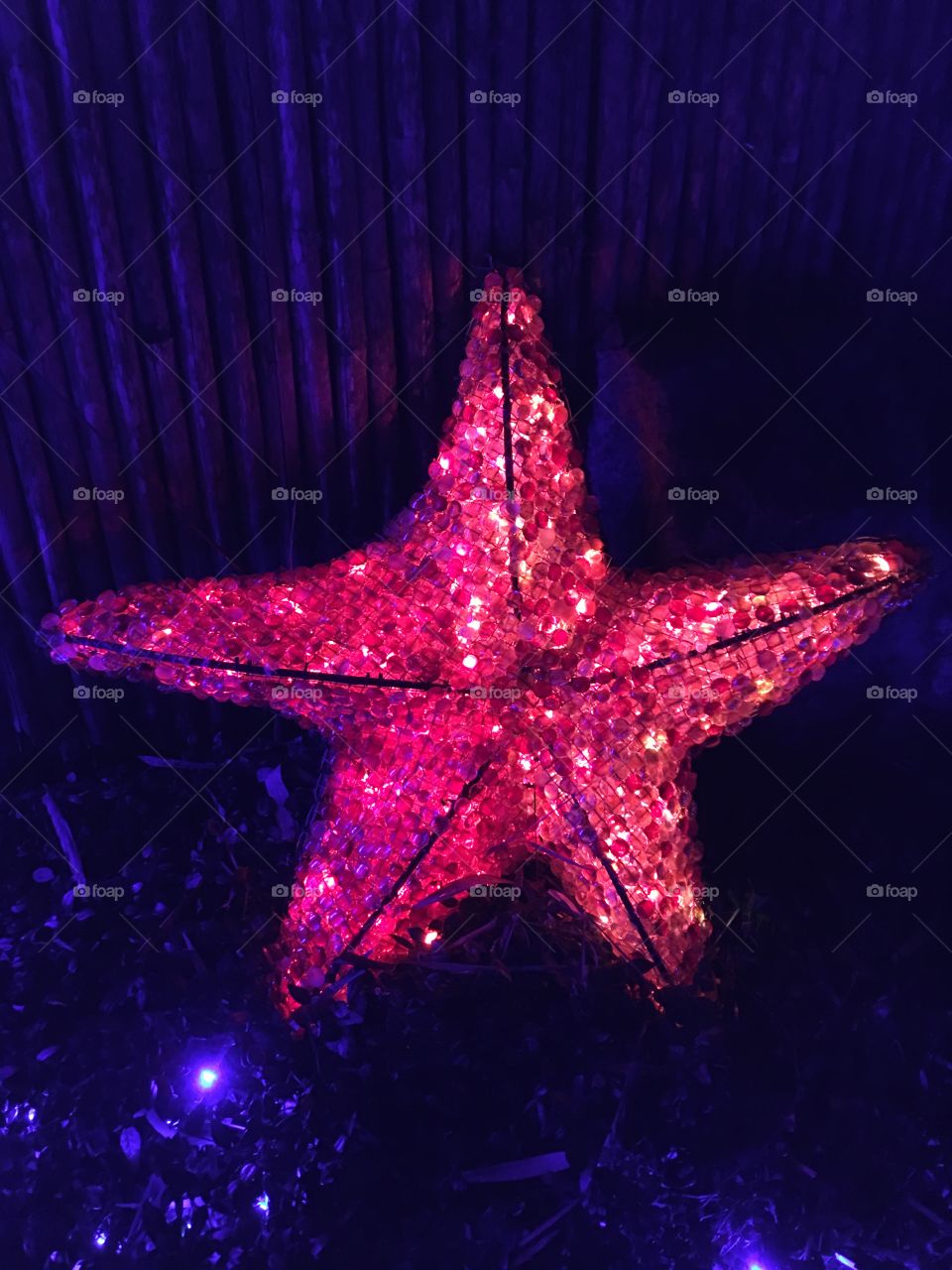 Starfish light ornament. 
