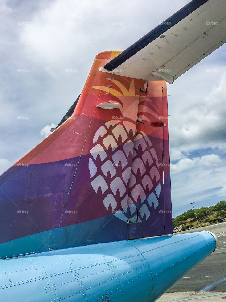 Pineapple on the tail of an Island Air plane in Hawaii. 