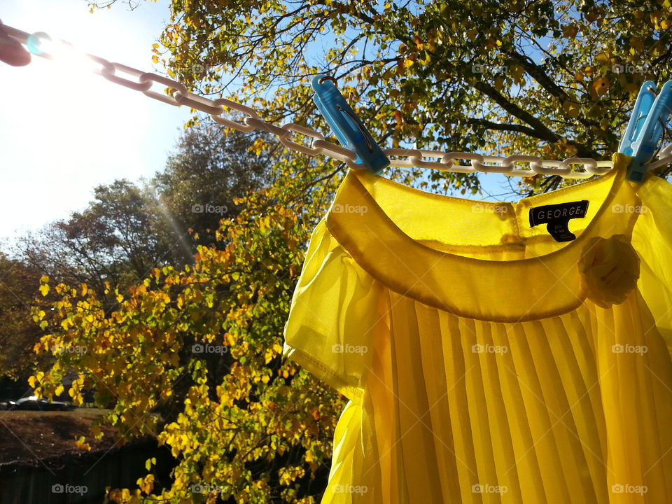 on the clothesline