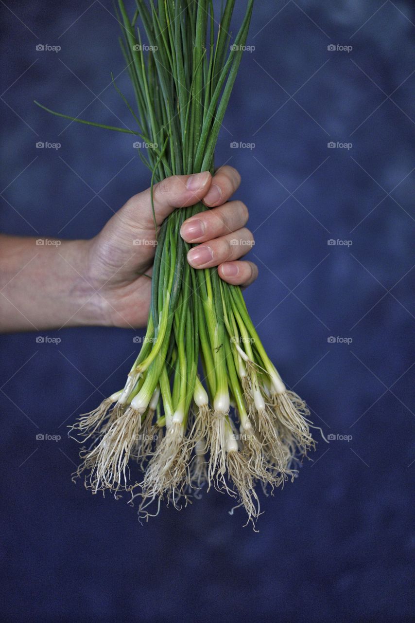 onion
